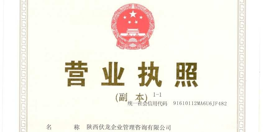 陜西伏龍企業管理咨詢 匠心賦能，推動企業卓越發展